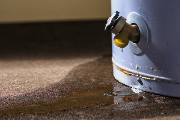 Local water damage restoration in Canterwood, WA
