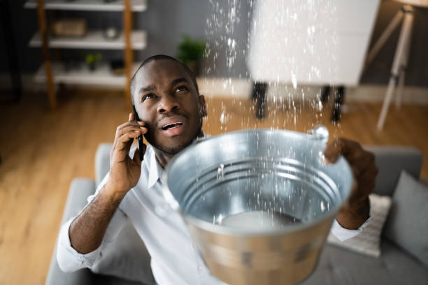 Reliable Canterwood, WA Water damage restoration Solutions