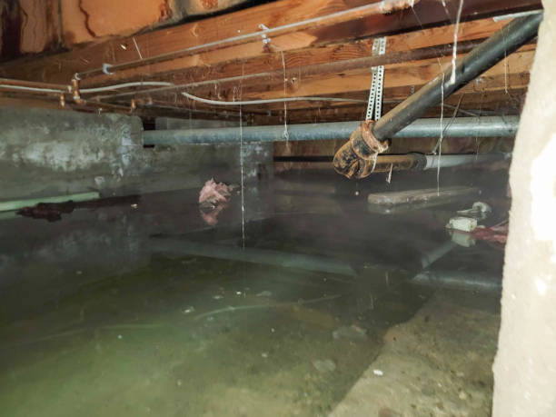 Best Water damage restoration insurance claims  in Canterwood, WA