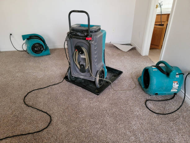 Best Water damage cleanup near me  in Canterwood, WA