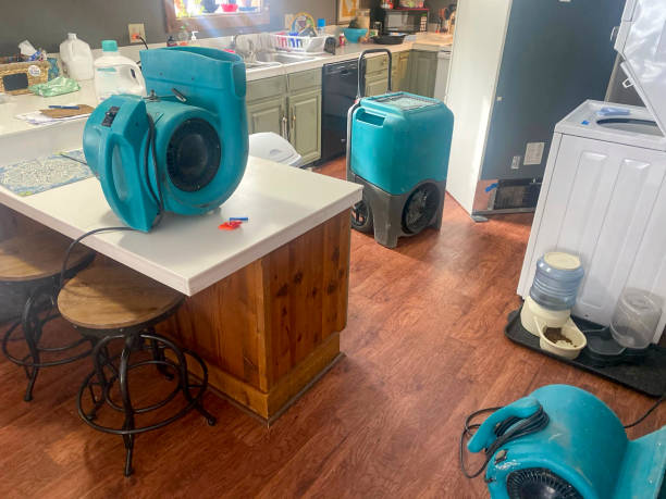 Best Professional water damage repair  in Canterwood, WA