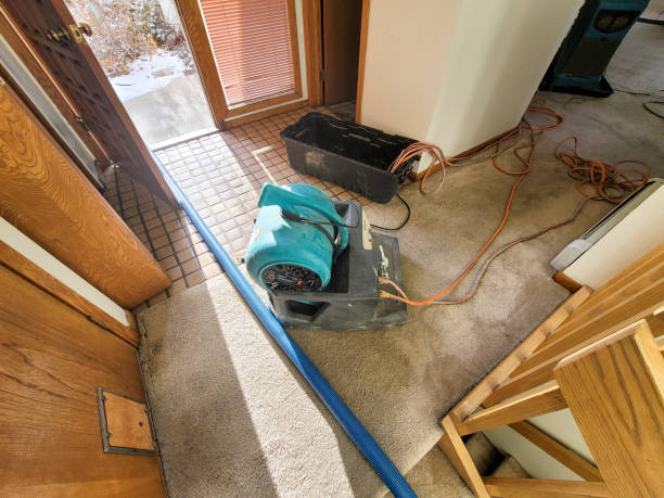 Best Water damage contractors near me  in Canterwood, WA