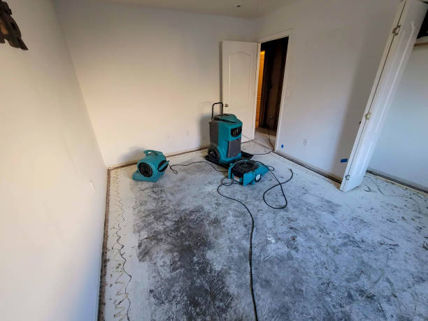 Best Water damage restoration services  in Canterwood, WA