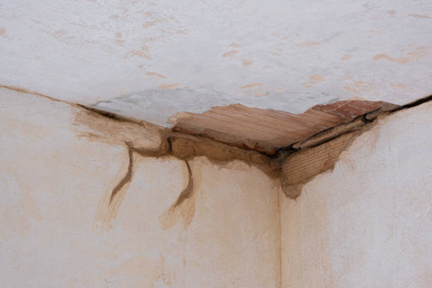 Best Flood restoration services  in Canterwood, WA