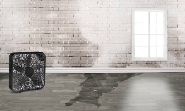 Carpet water damage restoration in Canterwood, WA