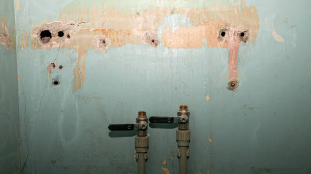 Best Water damage cleanup near me  in Canterwood, WA