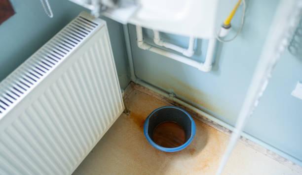 Best Residential water damage restoration  in Canterwood, WA