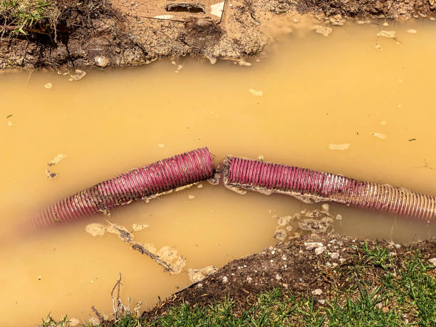 Best 24/7 water damage repair  in Canterwood, WA
