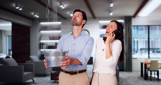 Best Fire Damage Restoration  in Canterwood, WA